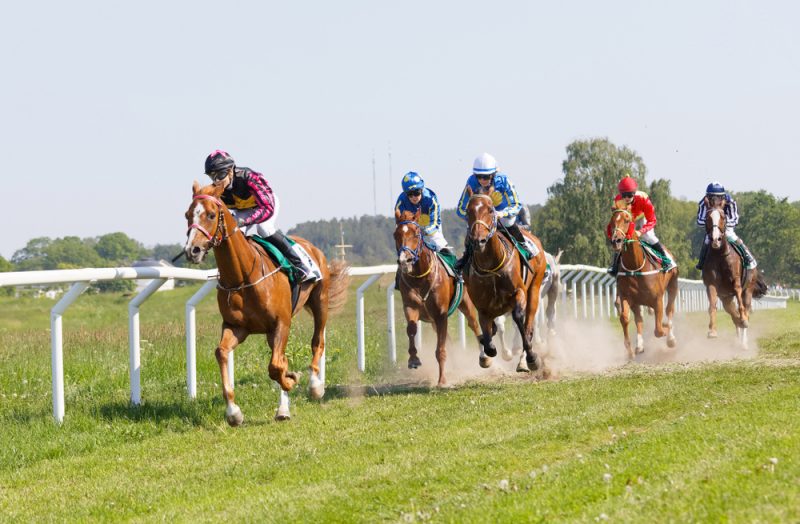 競馬初心者が予想する時に知っておくポイント