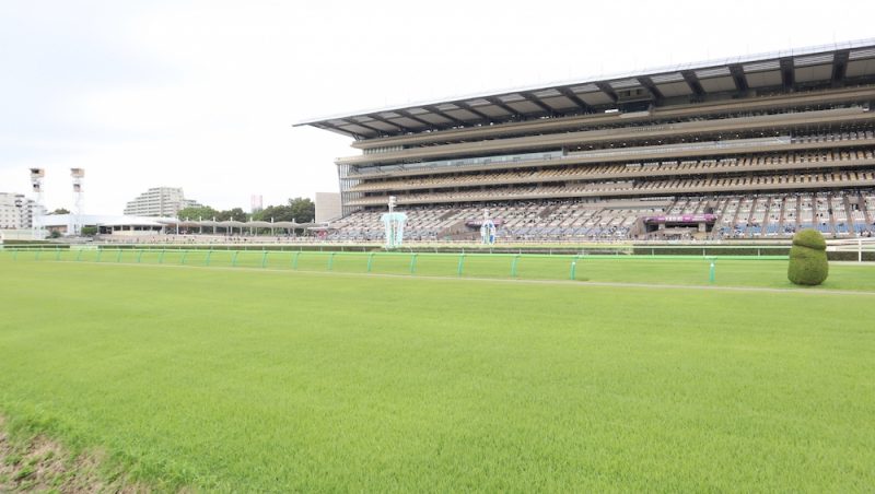 驚異の連勝記録！過去の名勝負から学ぶ競馬予想術